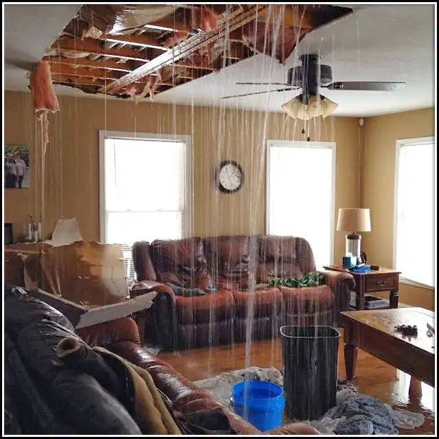 Water Damage Restoration services in McGregor, FL